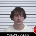 Mason Collins mugshot – Wayne County , Georgia Mason Collins mugshot