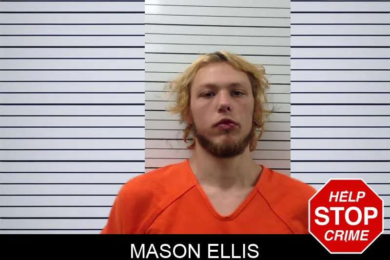 Mason Ellis mugshot
