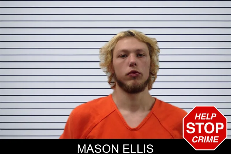 Mason Ellis mugshot
