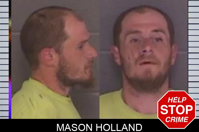 Mason Holland mugshot