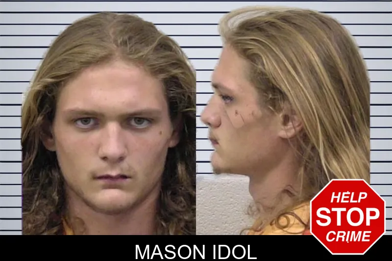 Mason Idol mugshot