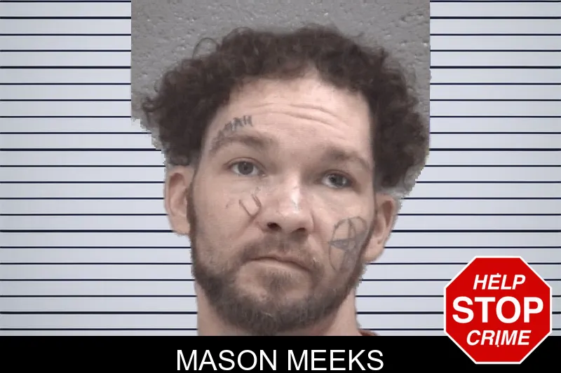 Mason Meeks mugshot – Columbia County , Georgia Mason Meeks mugshot