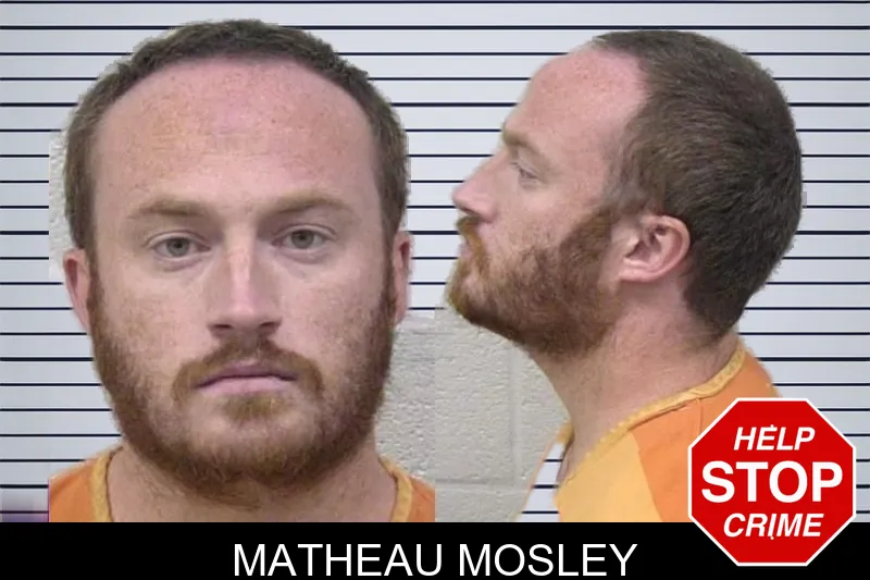 Matheau Mosley mugshot – Paulding County , Georgia Matheau Mosley mugshot