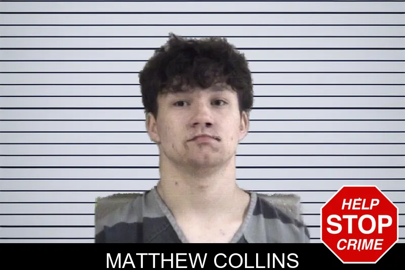 Matthew Collins mugshot