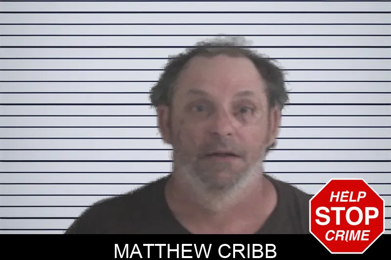 Matthew Cribb mugshot