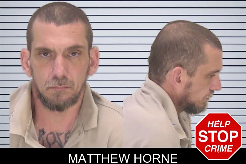 Matthew Horne mugshot