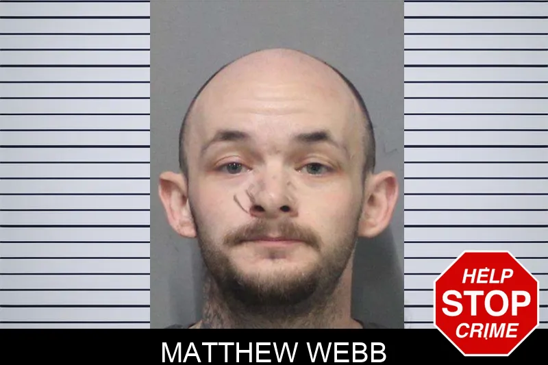 Matthew Webb mugshot – White County , Georgia Matthew Webb mugshot