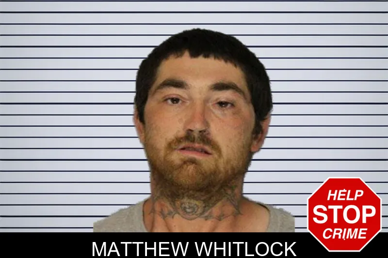 Matthew Whitlock mugshot – Hall County , Georgia Matthew Whitlock mugshot