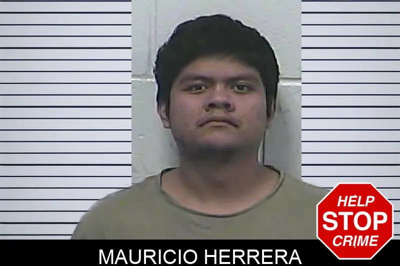 Mauricio Herrera mugshot