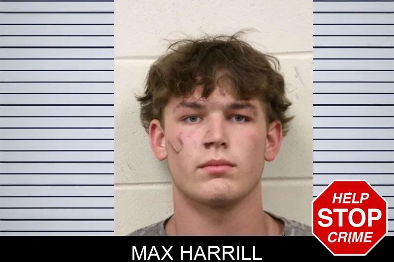 Max Harrill mugshot