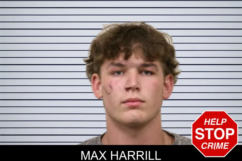 Max Harrill mugshot