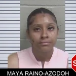 Maya Raino-Azodoh mugshot – Wayne County , Georgia Maya Raino-Azodoh mugshot