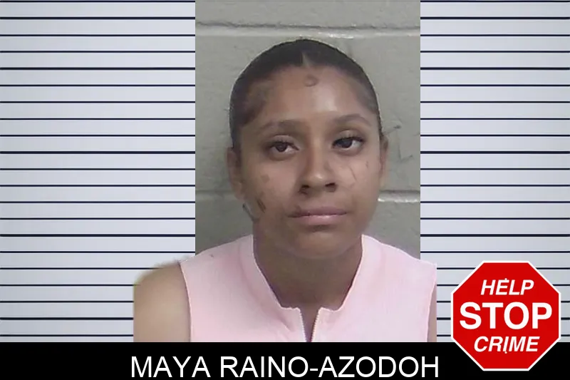 Maya Raino-Azodoh mugshot – Wayne County , Georgia Maya Raino-Azodoh mugshot