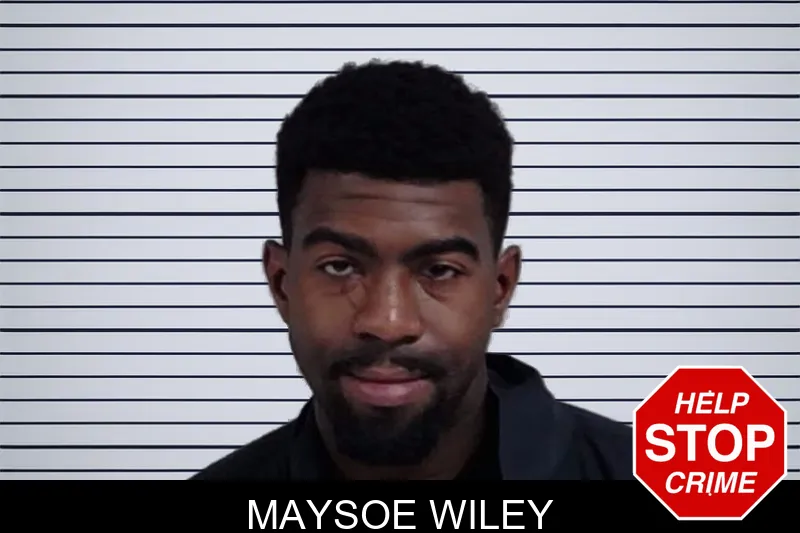 Maysoe Wiley mugshot – Lowndes County , Georgia Maysoe Wiley mugshot