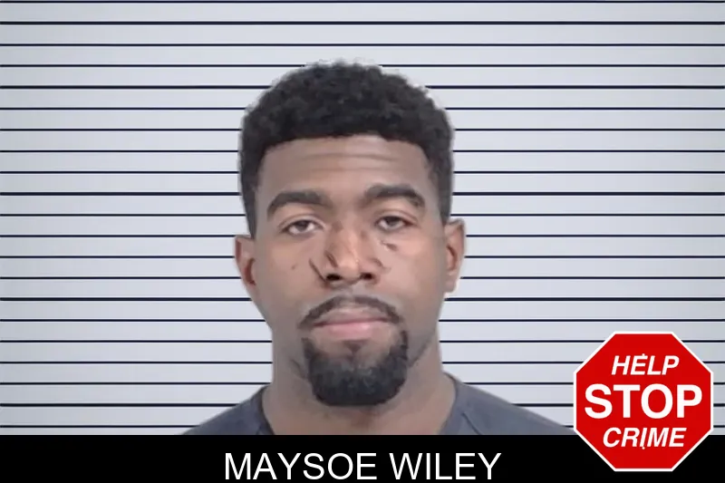 Maysoe Wiley mugshot – Lowndes County , Georgia Maysoe Wiley mugshot