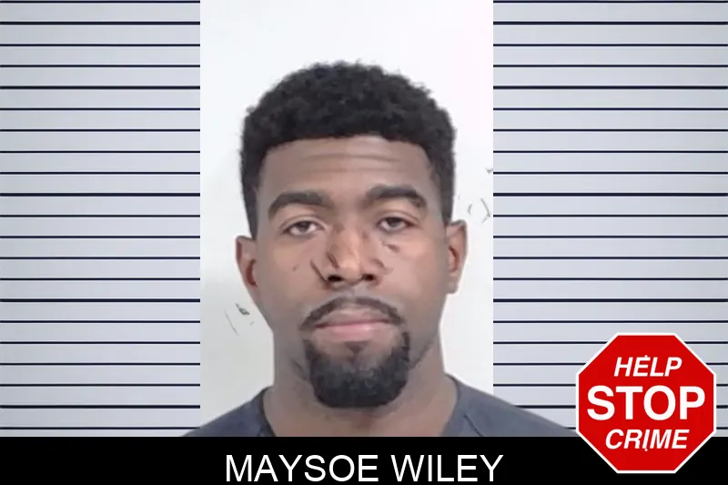Maysoe Wiley mugshot