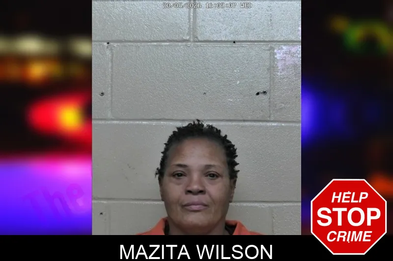 Mazita Wilson mugshot