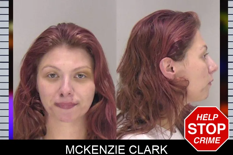 McKenzie Clark mugshot