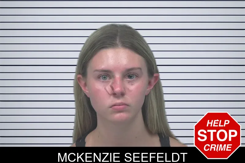 McKenzie Seefeldt mugshot – Gwinnett County , Georgia McKenzie Seefeldt mugshot