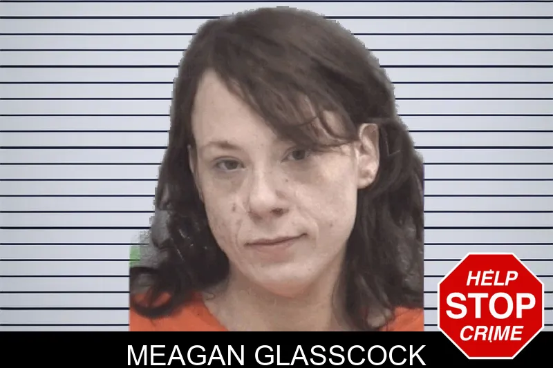 Meagan Glasscock mugshot