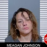 Meagan Johnson mugshot – Glynn County , Georgia Meagan Johnson mugshot