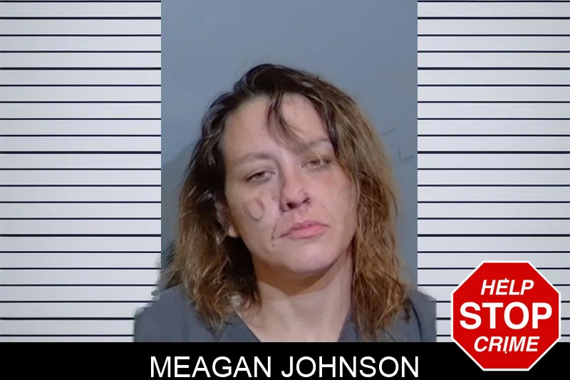 Meagan Johnson mugshot – Glynn County , Georgia Meagan Johnson mugshot