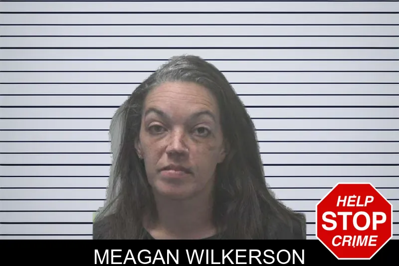 Meagan Wilkerson mugshot