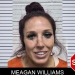 Meagan Williams mugshot – Dade County , Georgia Meagan Williams mugshot