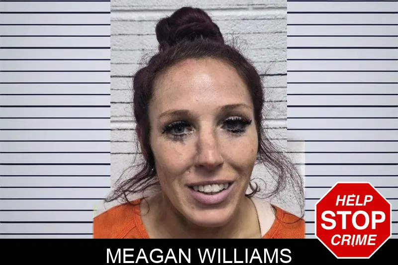 Meagan Williams mugshot – Dade County , Georgia Meagan Williams mugshot