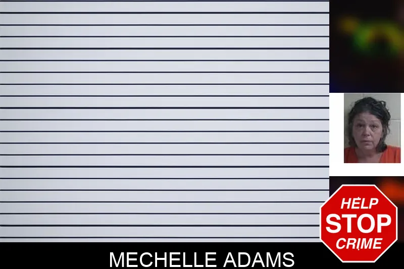 Mechelle Adams mugshot