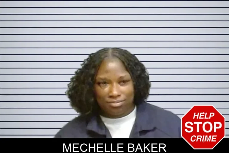 Mechelle Baker mugshot – Fulton County , Georgia Mechelle Baker