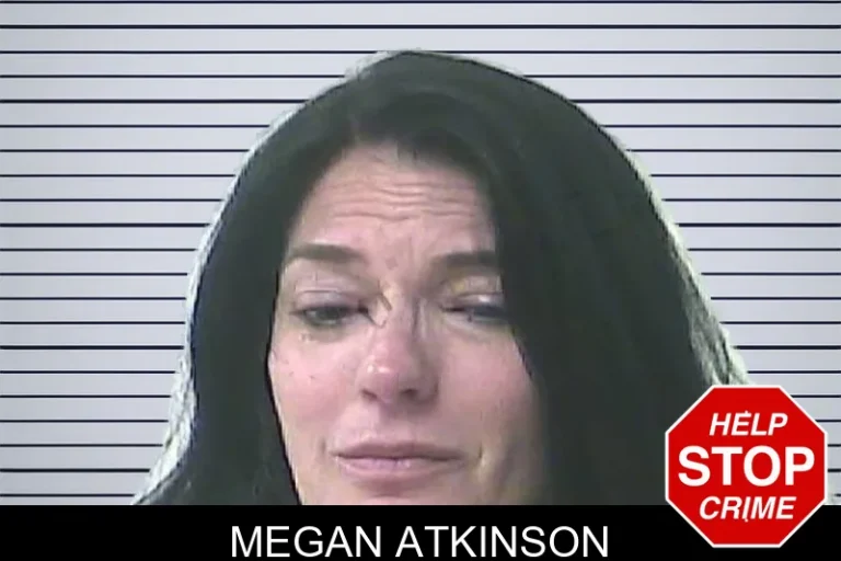 Megan Atkinson mugshot – Oconee County , Georgia Megan Atkinson