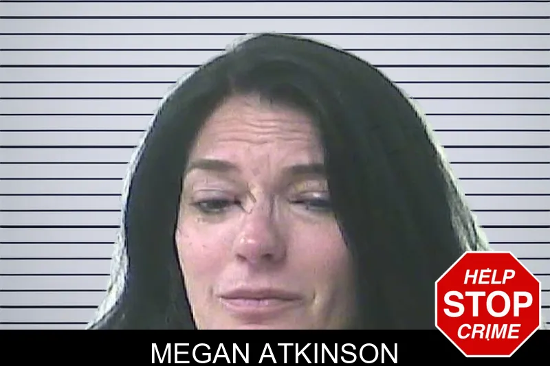Megan Atkinson mugshot – Oconee County , Georgia Megan Atkinson mugshot