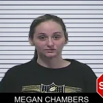 Megan Chambers mugshot – Dawson County , Georgia Megan Chambers mugshot