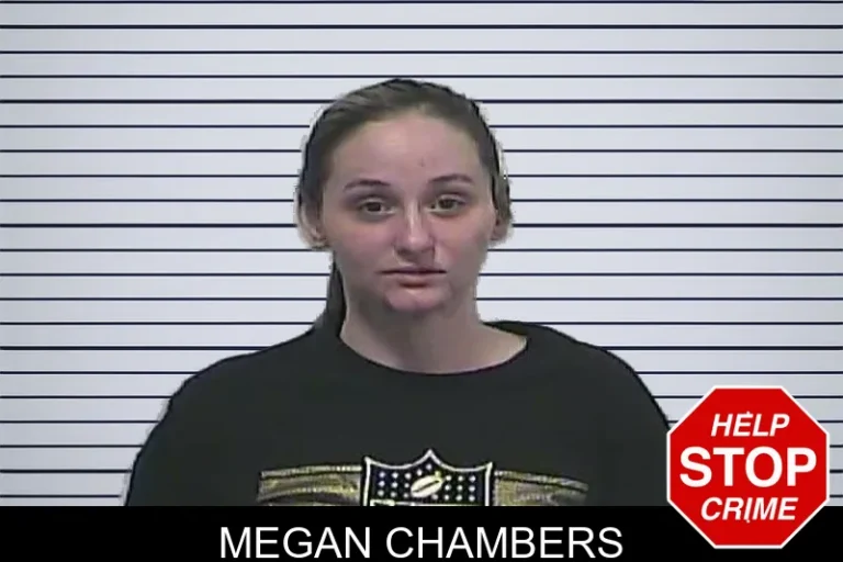 Megan Chambers mugshot – Dawson County , Georgia Megan Chambers
