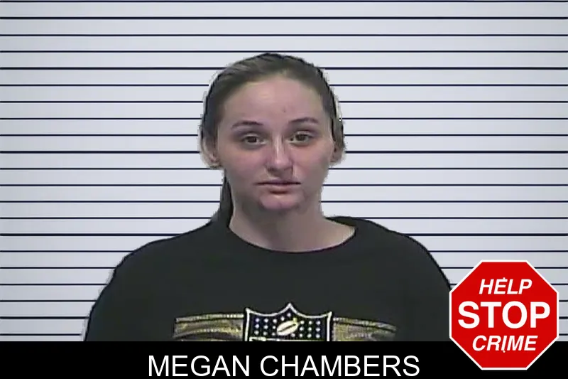Megan Chambers mugshot