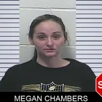 Megan Chambers mugshot – Dawson County , Georgia Megan Chambers mugshot