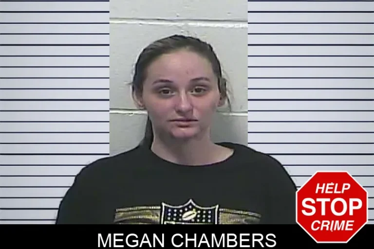 Megan Chambers mugshot – Dawson County , Georgia Megan Chambers