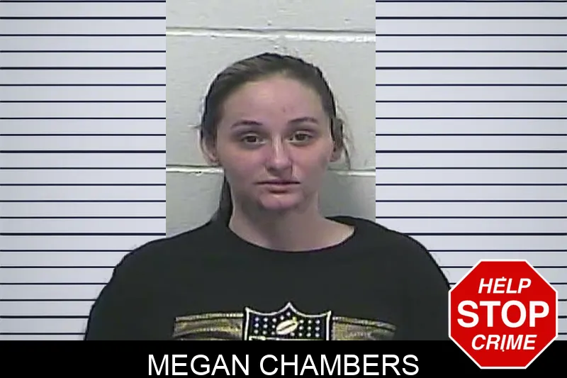 Megan Chambers mugshot