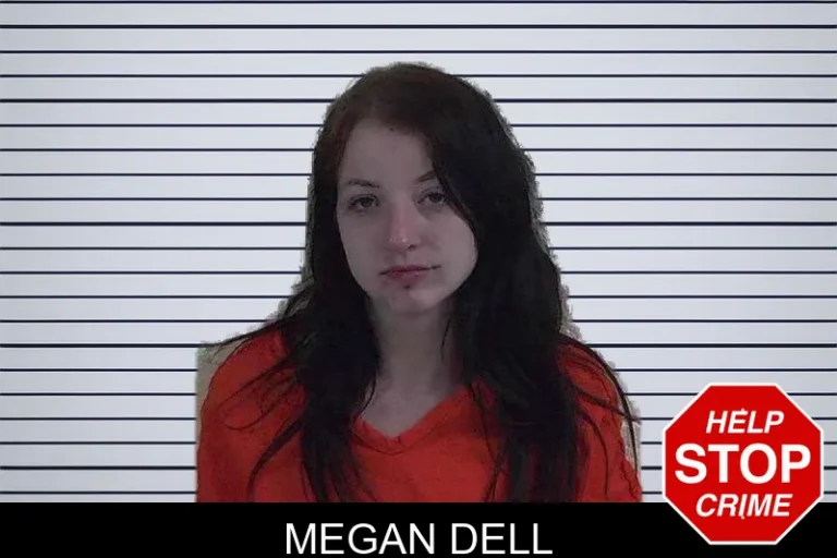 Megan Dell mugshot – Fannin County , Georgia Megan Dell