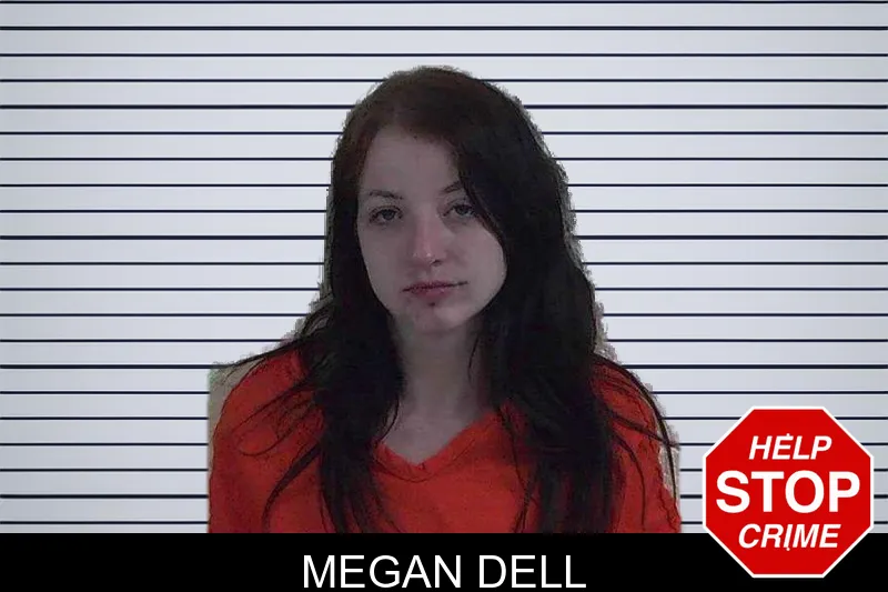 Megan Dell mugshot