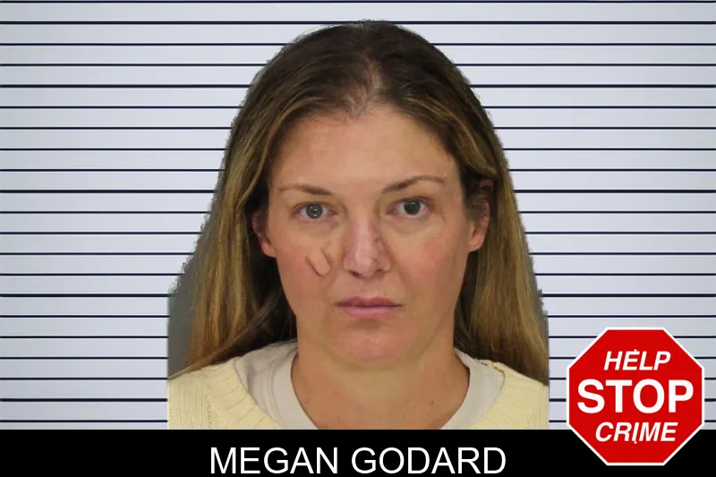 Megan Godard mugshot – Cobb County , Georgia Megan Godard mugshot