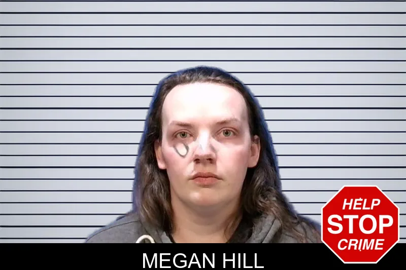 Megan Hill mugshot – Troup County , Georgia Megan Hill mugshot