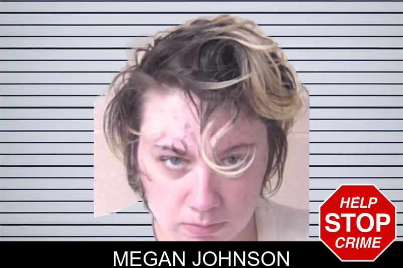 Megan Johnson mugshot