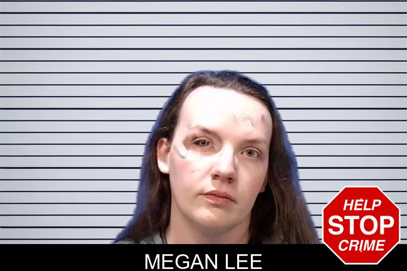 Megan Lee mugshot