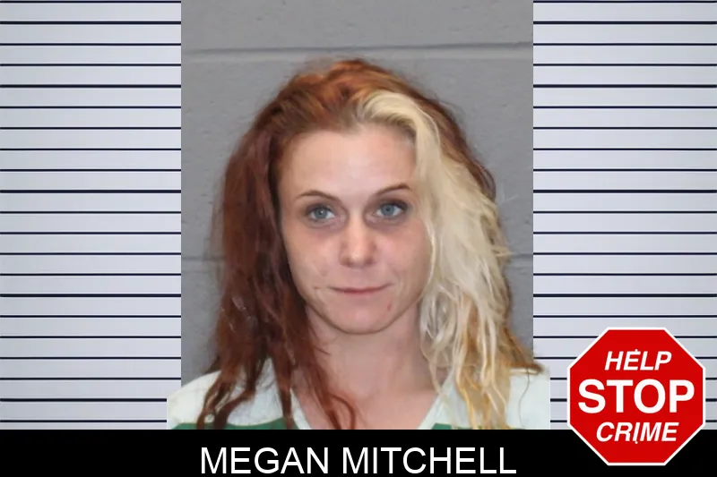 Megan Mitchell mugshot – Greene County , Georgia Megan Mitchell mugshot