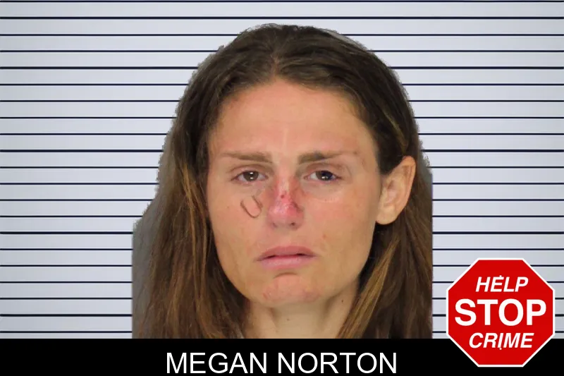 Megan Norton mugshot – Cobb County , Georgia Megan Norton mugshot