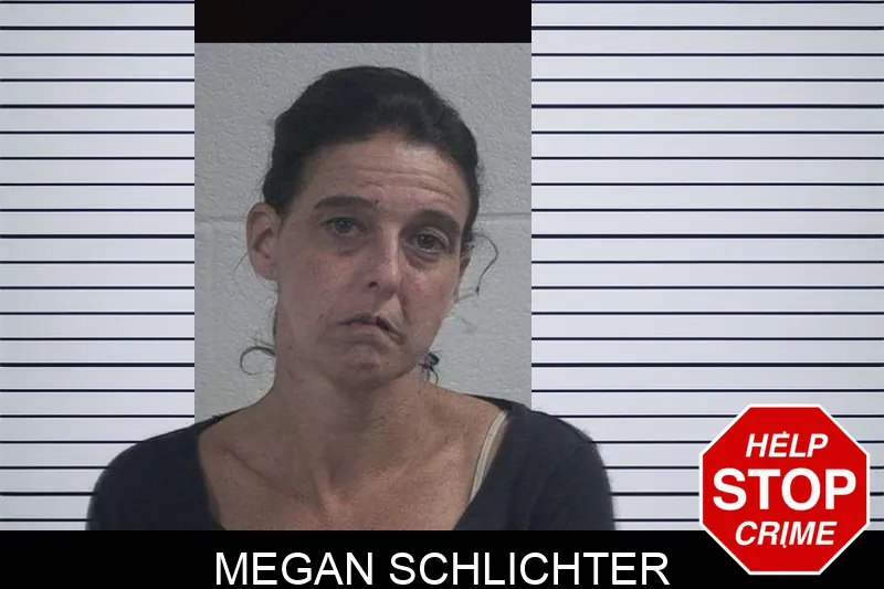 Megan Schlichter mugshot
