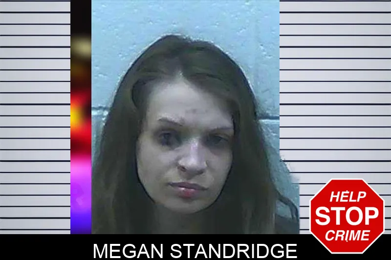 Megan Standridge mugshot