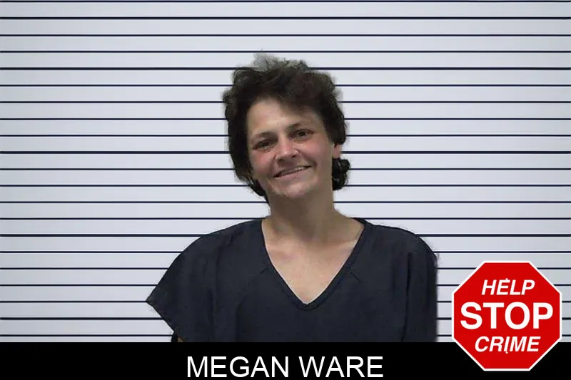 Megan Ware mugshot